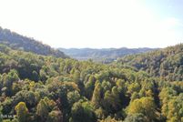 Undeveloped Land for sale in Scott County, Virginia