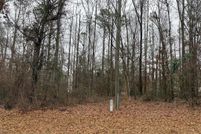 Undeveloped Land for sale in Pike County, Alabama