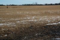 Undeveloped Land in Stearns County, Minnesota