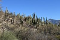 Land for sale in Pima County, Arizona