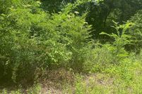 Undeveloped Land for sale in Saint Clair County, Alabama