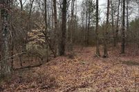 Undeveloped Land for sale in Randolph County, Alabama