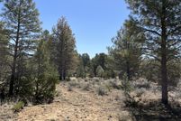Farm and Ranch for sale in Cibola County, New Mexico