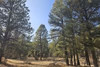 Land for sale in Navajo County, Arizona