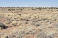 Land for sale in Navajo County, Arizona