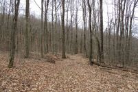 Timberland Property for sale in Allegany County, New York