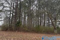 Undeveloped Land for sale in Limestone County, Alabama