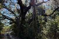 Land for sale in Levy County, Florida