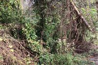 Land for sale in Beaver County, Pennsylvania