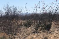 Land for sale in Santa Cruz County, Arizona