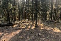 Undeveloped Land for sale in Park County, Colorado