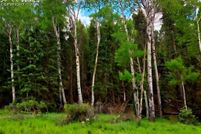 Undeveloped Land in Teller County, Colorado