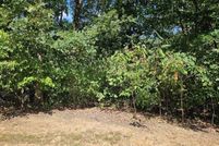 Land for sale in Pike County, Missouri