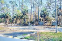 Land for sale in Taylor County, Florida