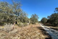 Land for sale in Levy County, Florida