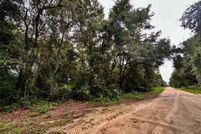 Land for sale in Levy County, Florida