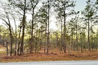 Land for sale in Levy County, Florida