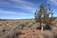 Land for sale in Navajo County, Arizona