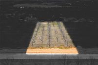 Farm and Ranch for sale in Hood County, Texas