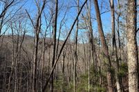 Land for sale in Fannin County, Georgia