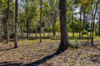 Undeveloped Land in Austin County, Texas