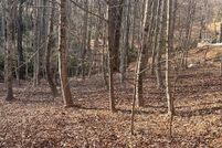 Undeveloped Land for sale in Carroll County, Virginia
