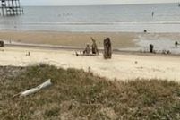 Timberland Property for sale in Mobile County, Alabama
