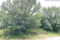 Undeveloped Land for sale in Alleghany County, North Carolina