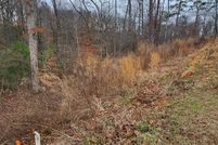 Undeveloped Land in Gilmer County, Georgia