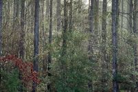 Land for sale in Pearl River County, Mississippi