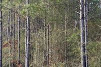 Farm and Ranch for sale in Pearl River County, Mississippi