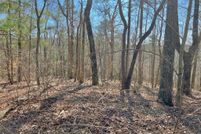 Land for sale in Gilmer County, Georgia