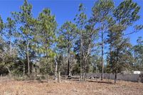 Land for sale in Levy County, Florida