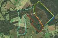 Undeveloped Land in Trinity County, Texas