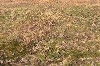 Land for sale in Garland County, Arkansas