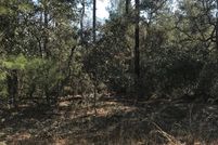 Homesite for sale in Putnam County, Florida