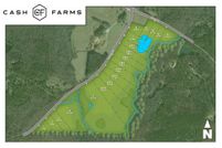 Undeveloped Land for sale in Lee County, Alabama