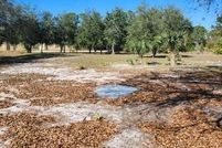 Land for sale in Hendry County, Florida