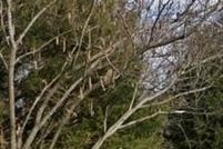 Land for sale in Wagoner County, Oklahoma