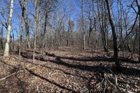 Land for sale in Gilmer County, Georgia