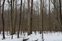 Recreational Property for sale in Warren County, Pennsylvania