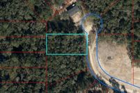 Undeveloped Land for sale in Levy County, Florida