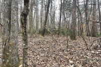 Land for sale in Union County, Georgia