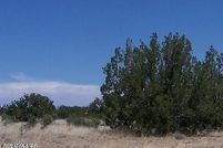 Land for sale in Navajo County, Arizona