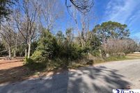 Land for sale in Lee County, South Carolina