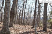 Land for sale in Alleghany County, North Carolina