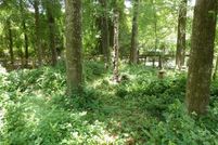 Land for sale in Alachua County, Florida