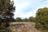 Land for sale in Apache County, Arizona
