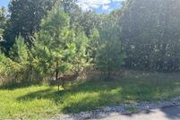 Undeveloped Land for sale in Calloway County, Kentucky