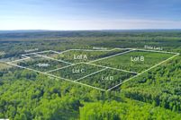 Timberland Property for sale in Benzie County, Michigan